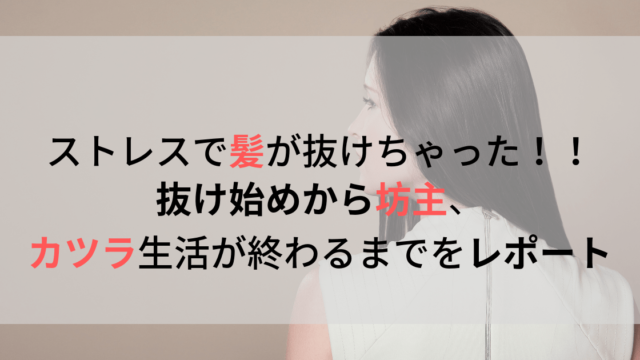 ストレスで髪が全部抜けた 円形脱毛症から坊主に カツラ生活から復活まで 英語ときどき家事育児 幼児英語教育